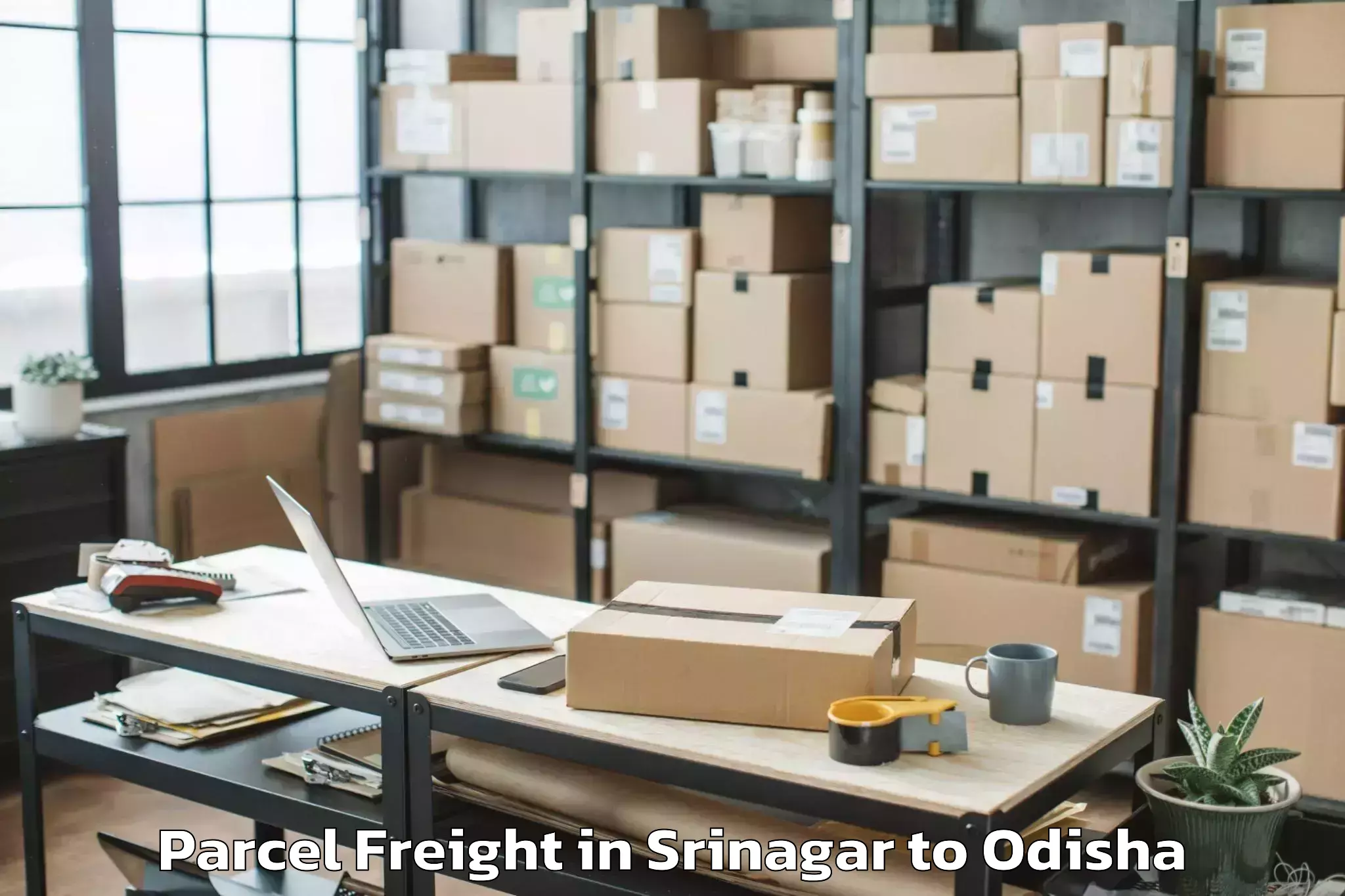 Leading Srinagar to Chatrapur Parcel Freight Provider